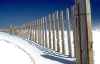 fence.gif (46695 bytes)